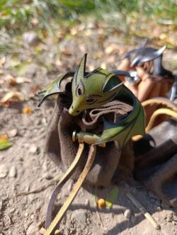 bourse familier dragon !
